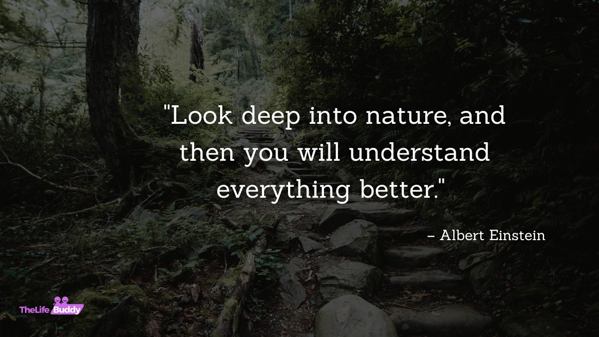 environmental and nature inspirational quotes