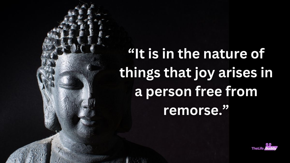 new Buddha Karma Quotes